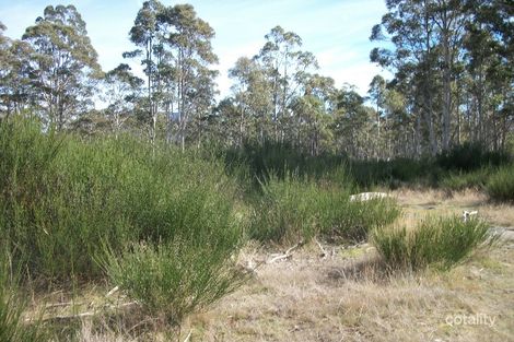 26 Baker St, Rossarden, TAS 7213