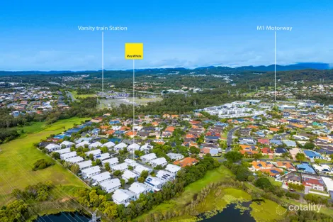 Property photo of 42/27 Eugenia Circuit Robina QLD 4226