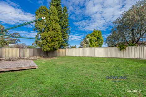 Property photo of 11 Birch Close Medowie NSW 2318