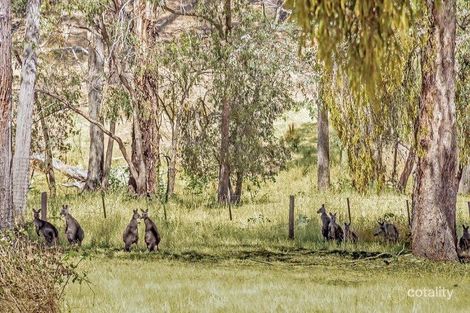Property photo of 182 Nicholas Lane Kangaroo Ground VIC 3097