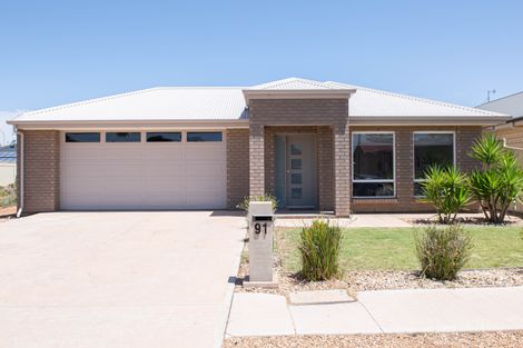 Property photo of 91 Newton Street Whyalla SA 5600