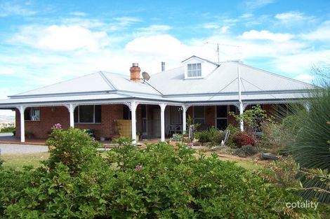 Property photo of 157 Kerridene Road Piallamore NSW 2340