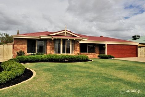 Property photo of 41 Star Bush Crescent Ellenbrook WA 6069