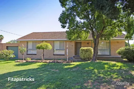 80 Raye St, Tolland, NSW 2650