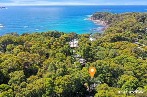 Property photo of 40 Denise Drive Lilli Pilli NSW 2536