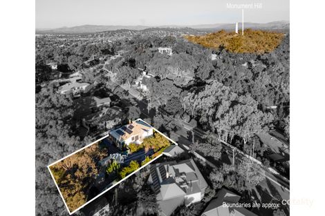 Property photo of 838 Blackmore Street West Albury NSW 2640