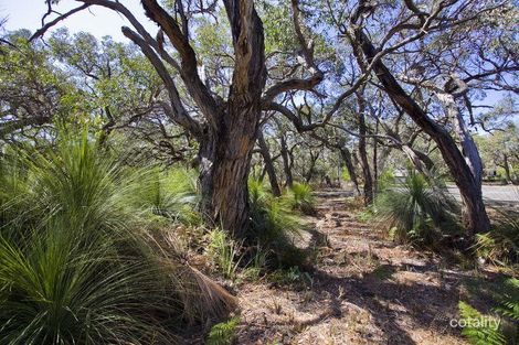 Property photo of 28 Stringybark Drive Torquay VIC 3228