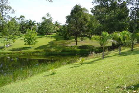 Property photo of 5 Abbotts Falls Road Wingham NSW 2429