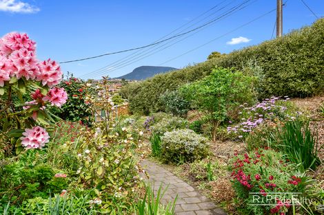 Property photo of 31 Walker Street Rosetta TAS 7010