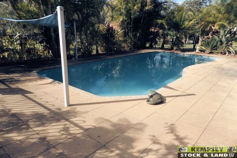 Property photo of 55 Brushbox Crescent Yarravel NSW 2440