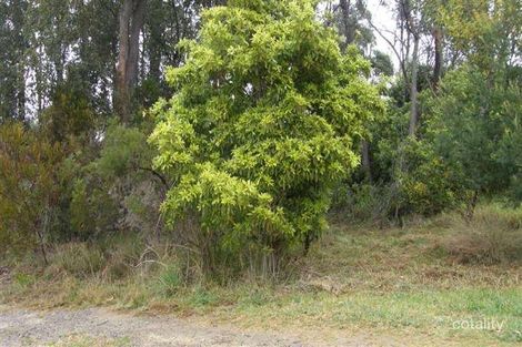 Property photo of 9 King Street Hill Top NSW 2575
