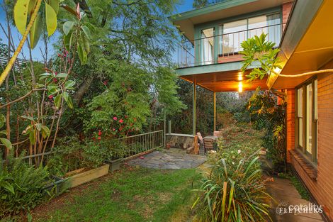 Property photo of 50 Wilson Road Glen Waverley VIC 3150