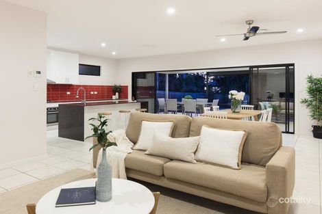 Property photo of 29 Marsh Street Cannon Hill QLD 4170