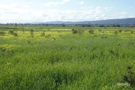 Property photo of 140 Oaks Road Napperby SA 5540