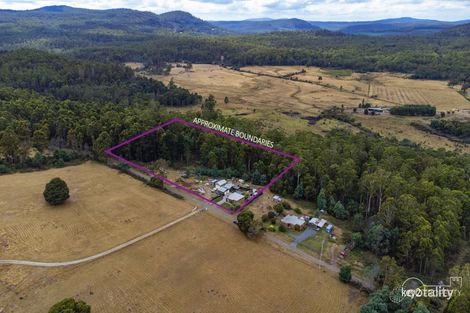 124 Wadleys Rd, Reedy Marsh, TAS 7304