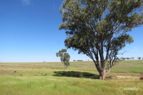 Property photo of 264 Heatherbrae Road Geurie NSW 2818