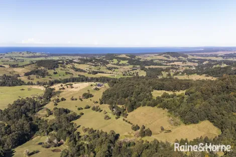 160 CONNORS CREEK RD, BROUGHTON VILLAGE, NSW 2534