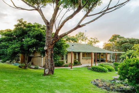 Property photo of 21 Castaway Crescent Jan Juc VIC 3228