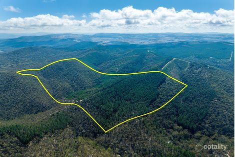 771 Greywacke Rd, Twenty Forests, NSW 2795