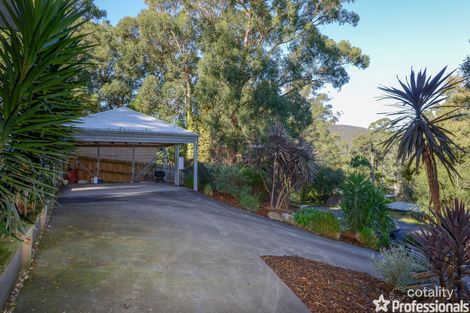 Property photo of 12 Vera Court Millgrove VIC 3799