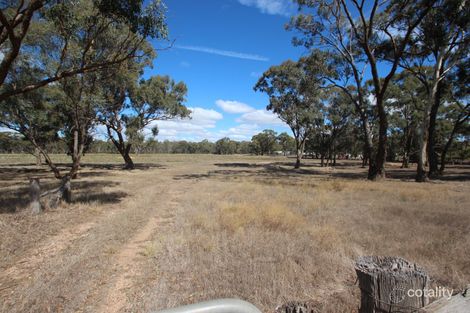 Property photo of 7 Madmans Lane Flagstaff VIC 3465