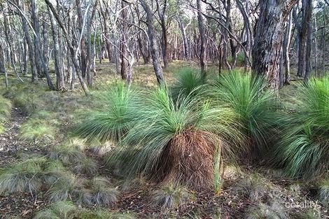 Property photo of 68 Gap Road Riddells Creek VIC 3431