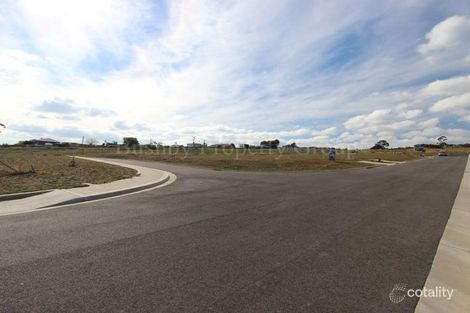 Property photo of 3 Hillary Street St Leonards TAS 7250