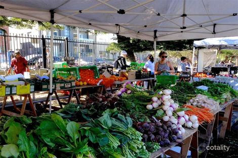 Property photo of 24 St James Road Bondi Junction NSW 2022