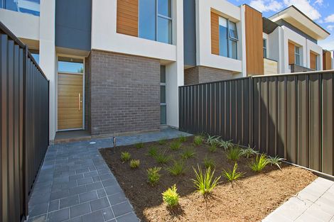 6/817 Marion Rd, Mitchell Park, SA 5043