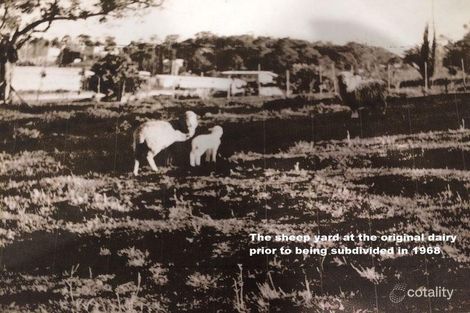 Property photo of 41 Katrina Avenue Mona Vale NSW 2103