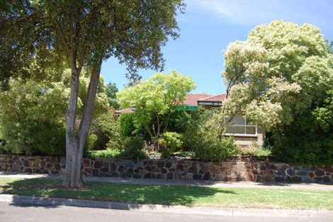 Property photo of 18 Hayfield Road Mount Waverley VIC 3149