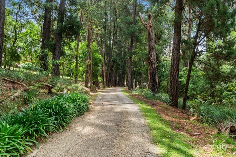 Property photo of 80 Clegg Road Mount Evelyn VIC 3796