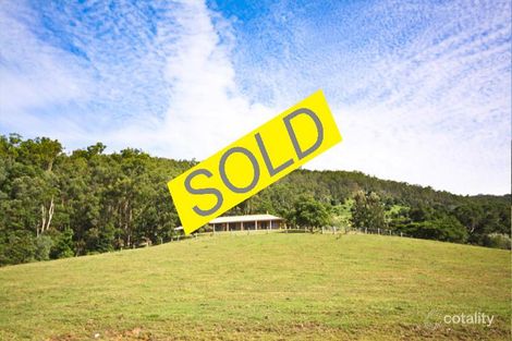 Property photo of 3 Stony Creek Court Cedar Creek QLD 4520