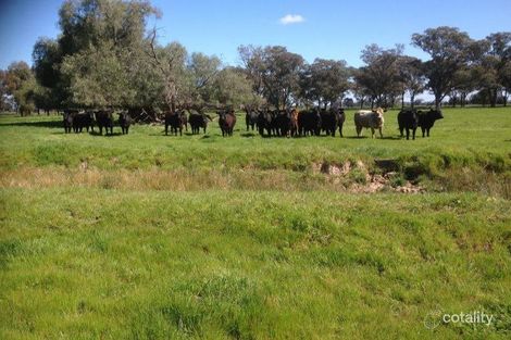 1960 Goulburn Valley Hwy, Tallygaroopna, VIC 3634