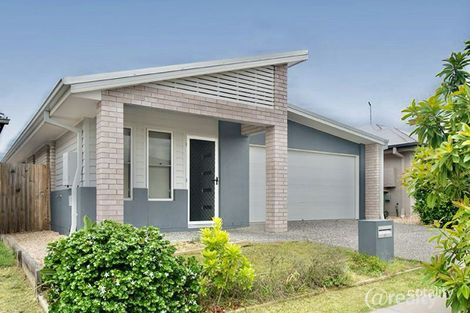 Property photo of 13 Napier Circuit Silkstone QLD 4304