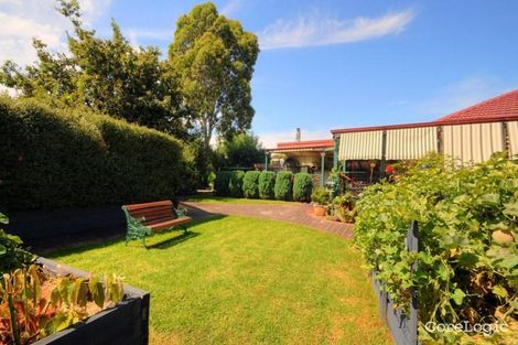 Property photo of 9 Kingston Street Mordialloc VIC 3195