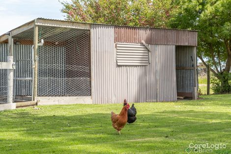 Property photo of 105 Finlay Road Bass VIC 3991