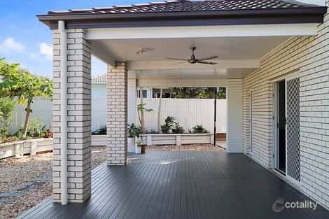 Property photo of 8 Hickory Street Carseldine QLD 4034