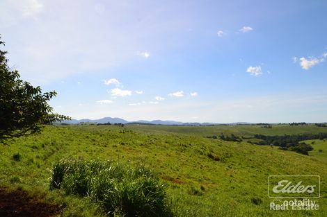 Property photo of 708 Merragallan Road Malanda QLD 4885