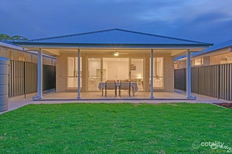 11 Harcourt Ave, Clovelly Park, SA 5042