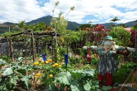 Property photo of 14 Carpenter Close Edmonton QLD 4869