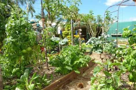 Property photo of 14 Carpenter Close Edmonton QLD 4869