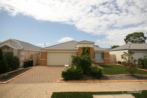 57 Chittleborough Cct, Morphettville, SA 5043