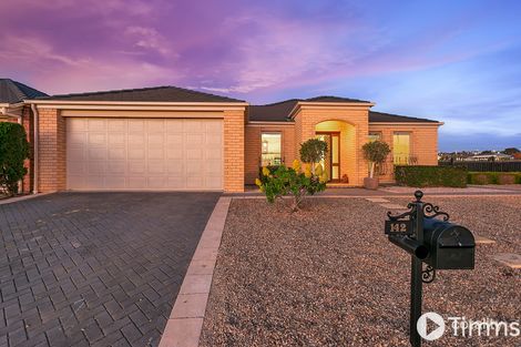 142 Grand Bvd, Seaford Rise, SA 5169