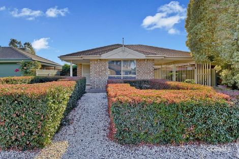 Property photo of 3 Halbert Court Andrews Farm SA 5114
