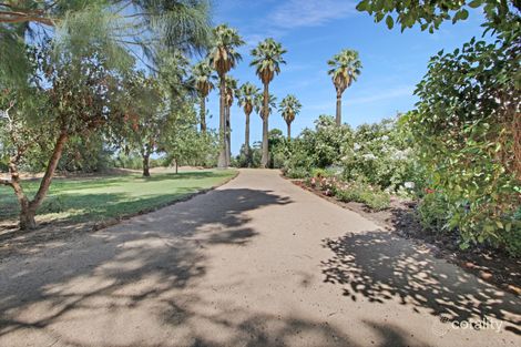 Property photo of 7 Etiwanda Street Renmark West SA 5341