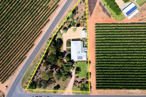 Property photo of 7 Etiwanda Street Renmark West SA 5341