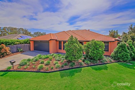 Property photo of 4 Begonia Court Wynnum West QLD 4178