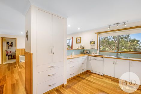 Property photo of 3 Leona Court Acton Park TAS 7170