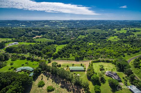 Property photo of 9 Callistemon Drive Federal NSW 2480